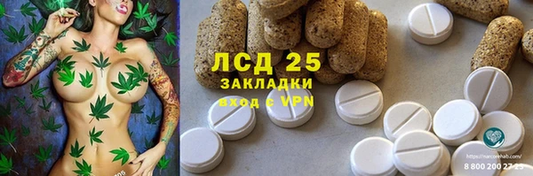 a pvp Алзамай